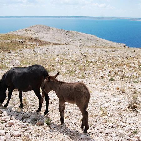Galapagus Privat Beach & Boat Dock Leilighet Metajna Eksteriør bilde